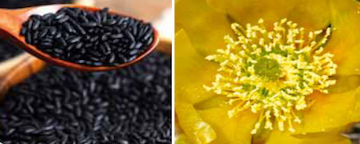 Black Rice-Prickly Pear Boosts Hair Growth